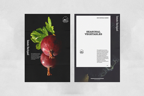 番茄后院農(nóng)產(chǎn)品品牌logo設(shè)計/VI設(shè)計